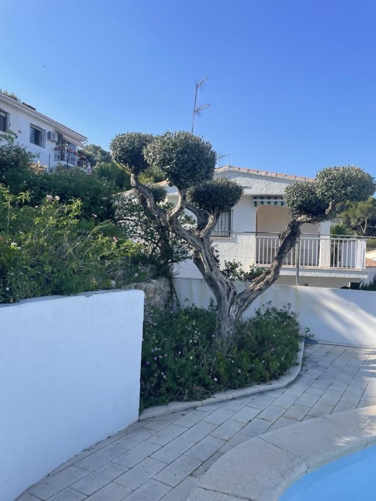 Ola Somhome Peniscola Exterior photo